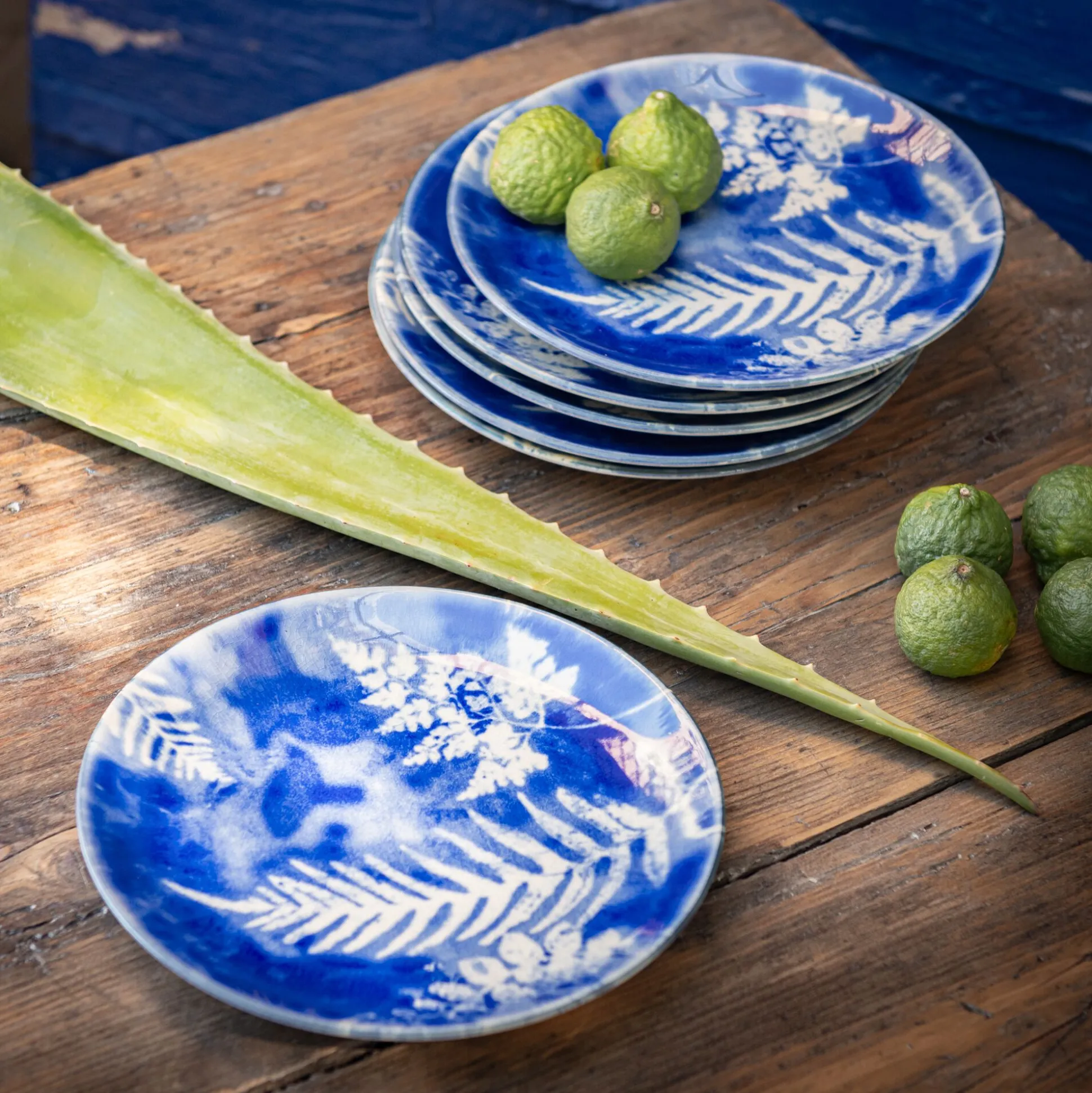 Assiette à dessert motif fougère en grès D21,6cm - bleu