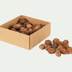 Boite de 20 fruits secs déco - D10xP4,5cm naturel