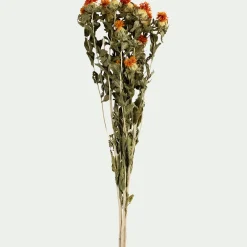 Botte de bidens séchée H55cm - orange