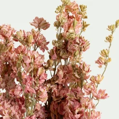 Bottes de dauphinelles séchées 55cm - rose