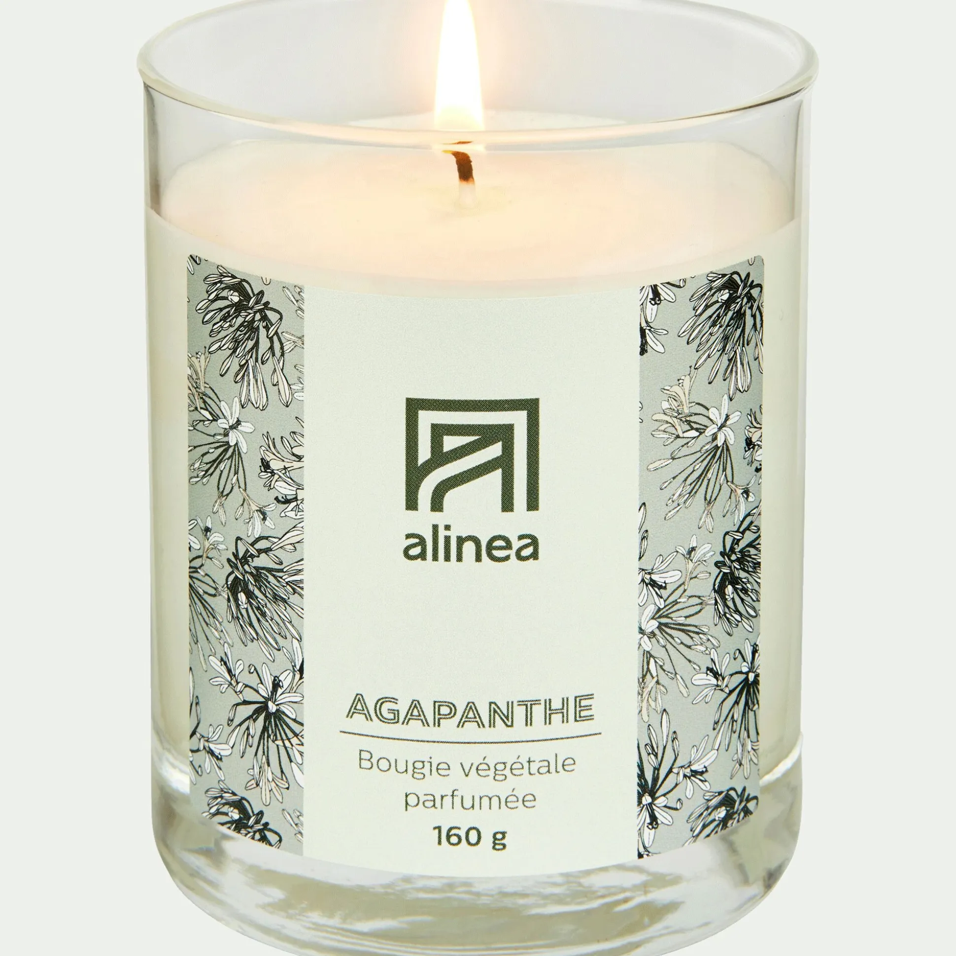 Bougie parfumée senteur Agapanthe 160g