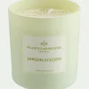 Bougie parfumée senteur Jardin d'Eden 180g