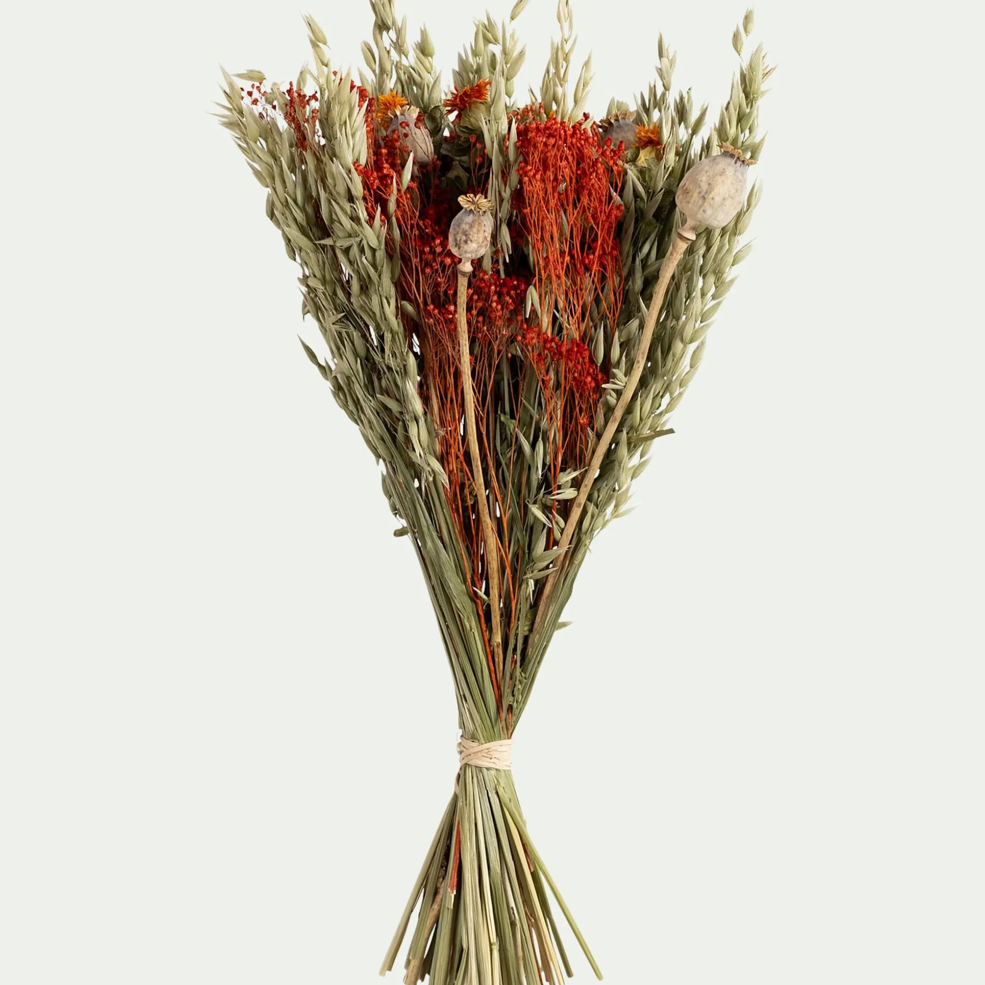 Bouquet de fleurs séchées h55cm - orange