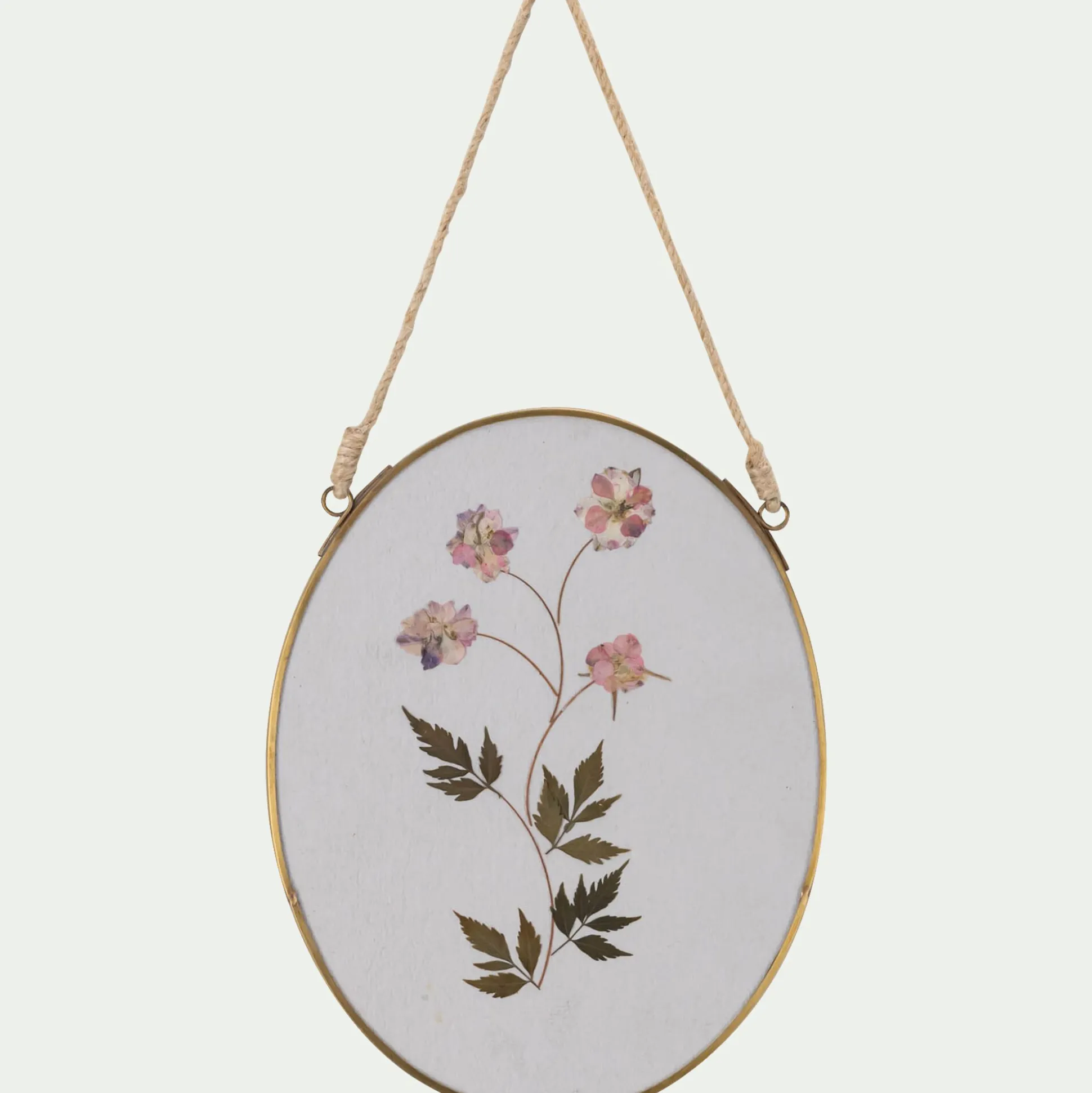 Cadre décoratif ovale avec fleurs séchées - doré