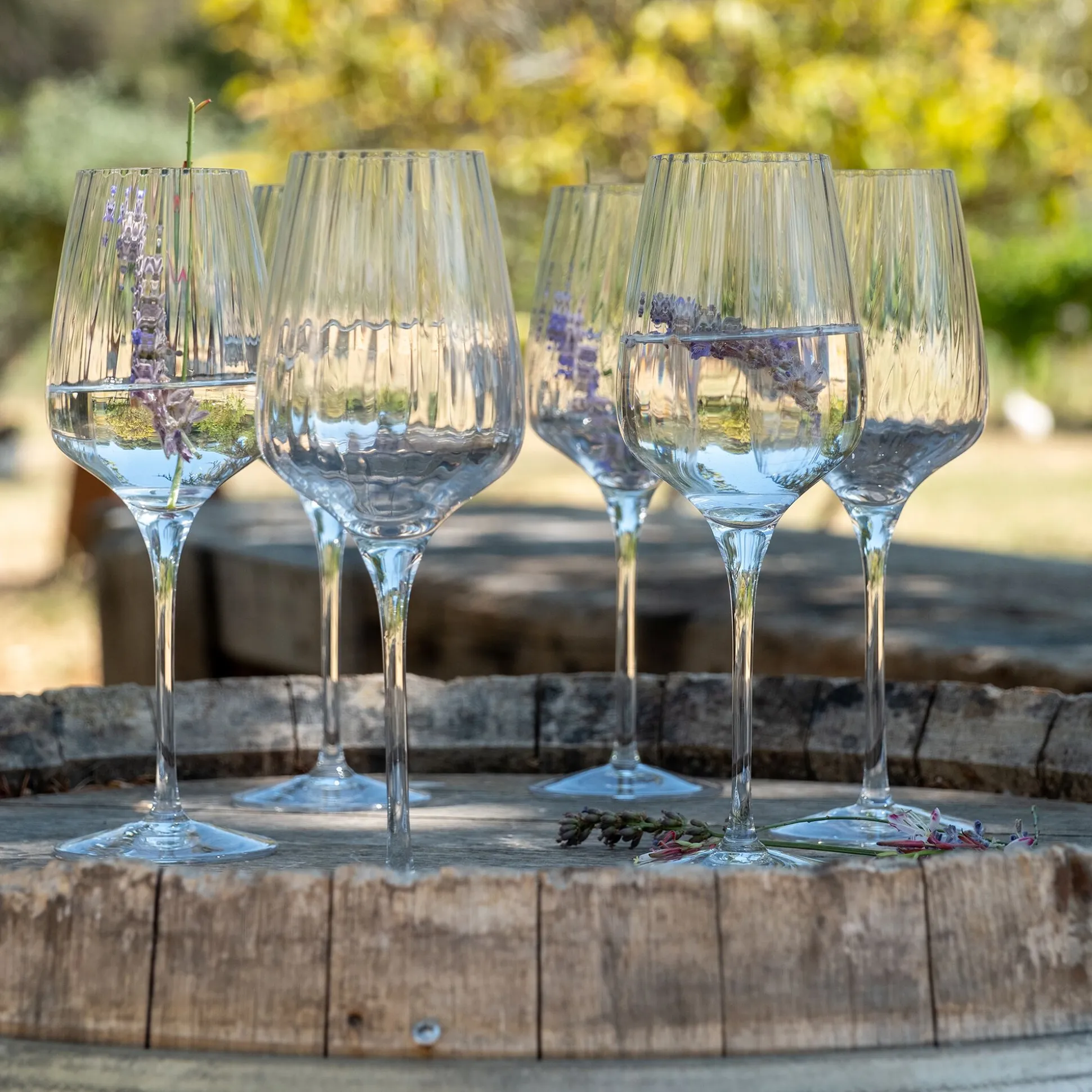 Coffret de 6 verres à pied tulipe en cristallin 45cl - transparent