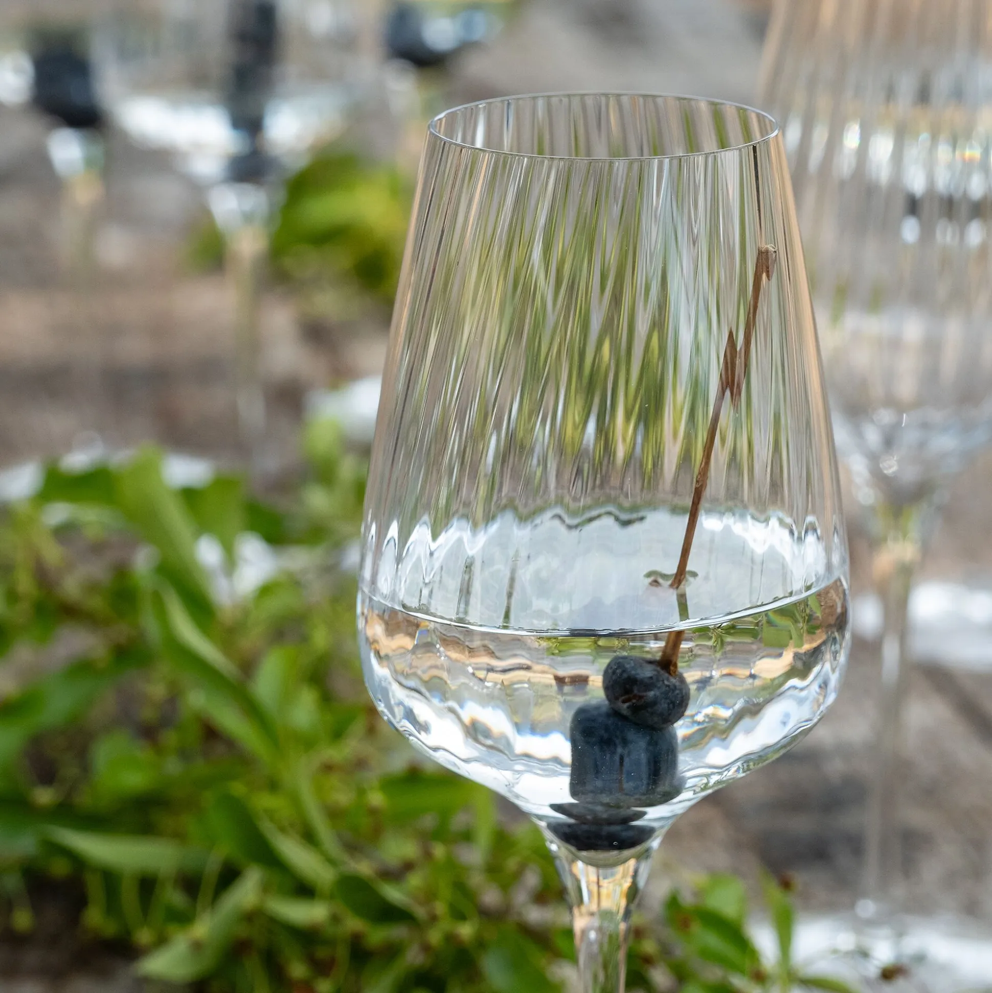 Coffret de 6 verres à pied tulipe en cristallin 35cl - transparent