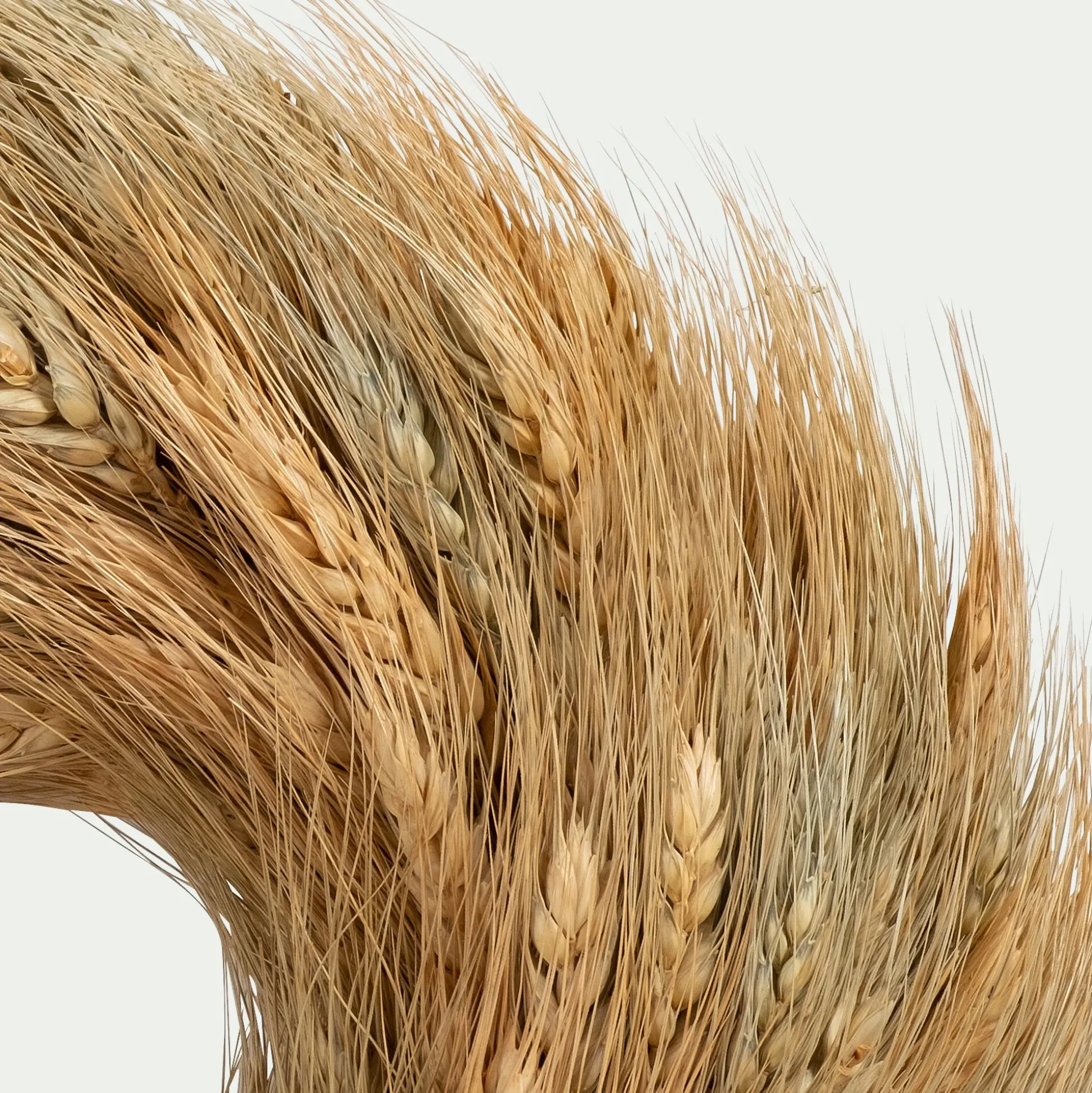 Couronne de Noël en épis de blé D27cm - naturel