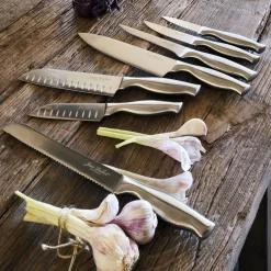 Couteaux de cuisine en inox