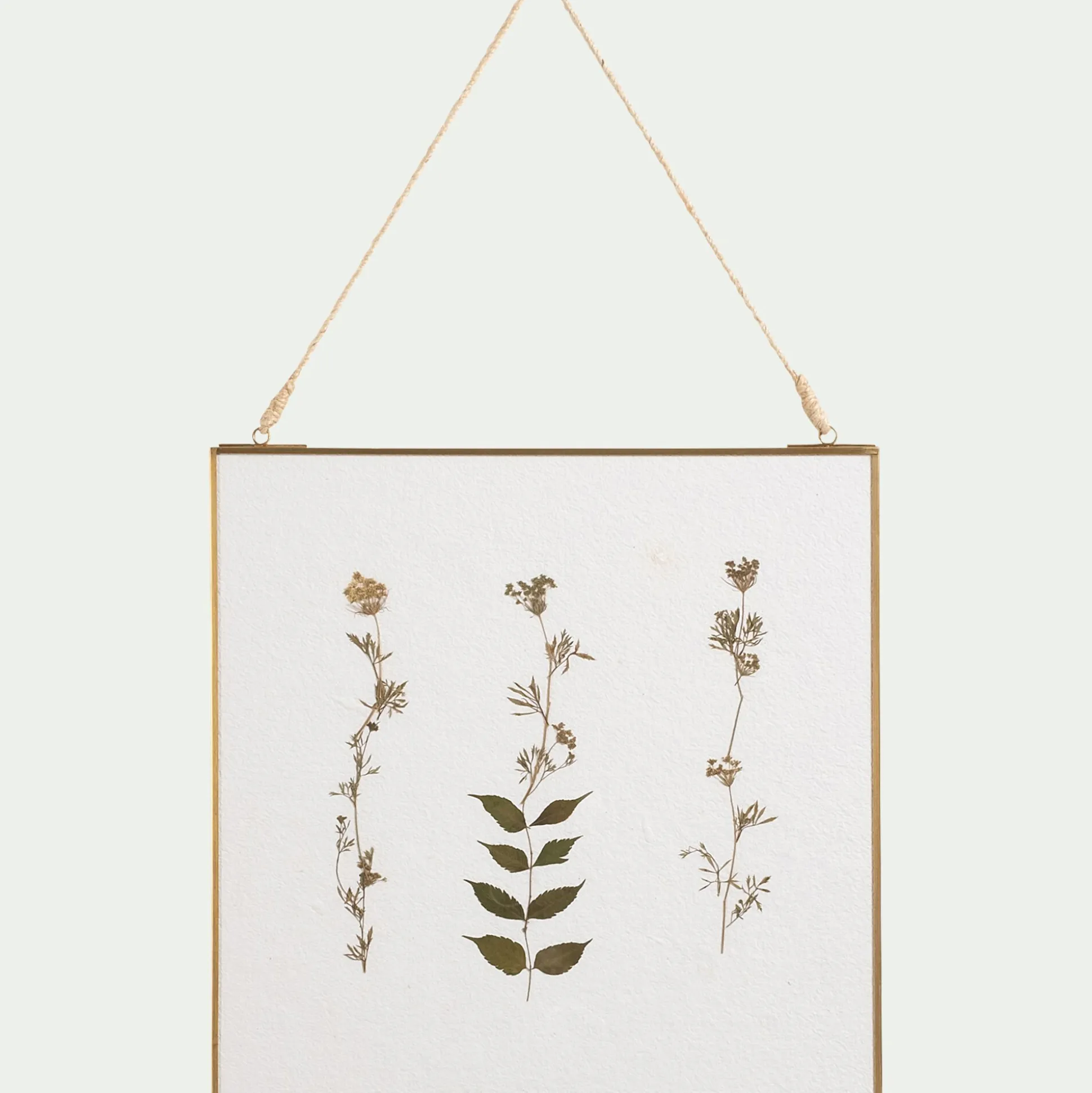 Décoration murale carrée avec fleurs séchés en verre - doré