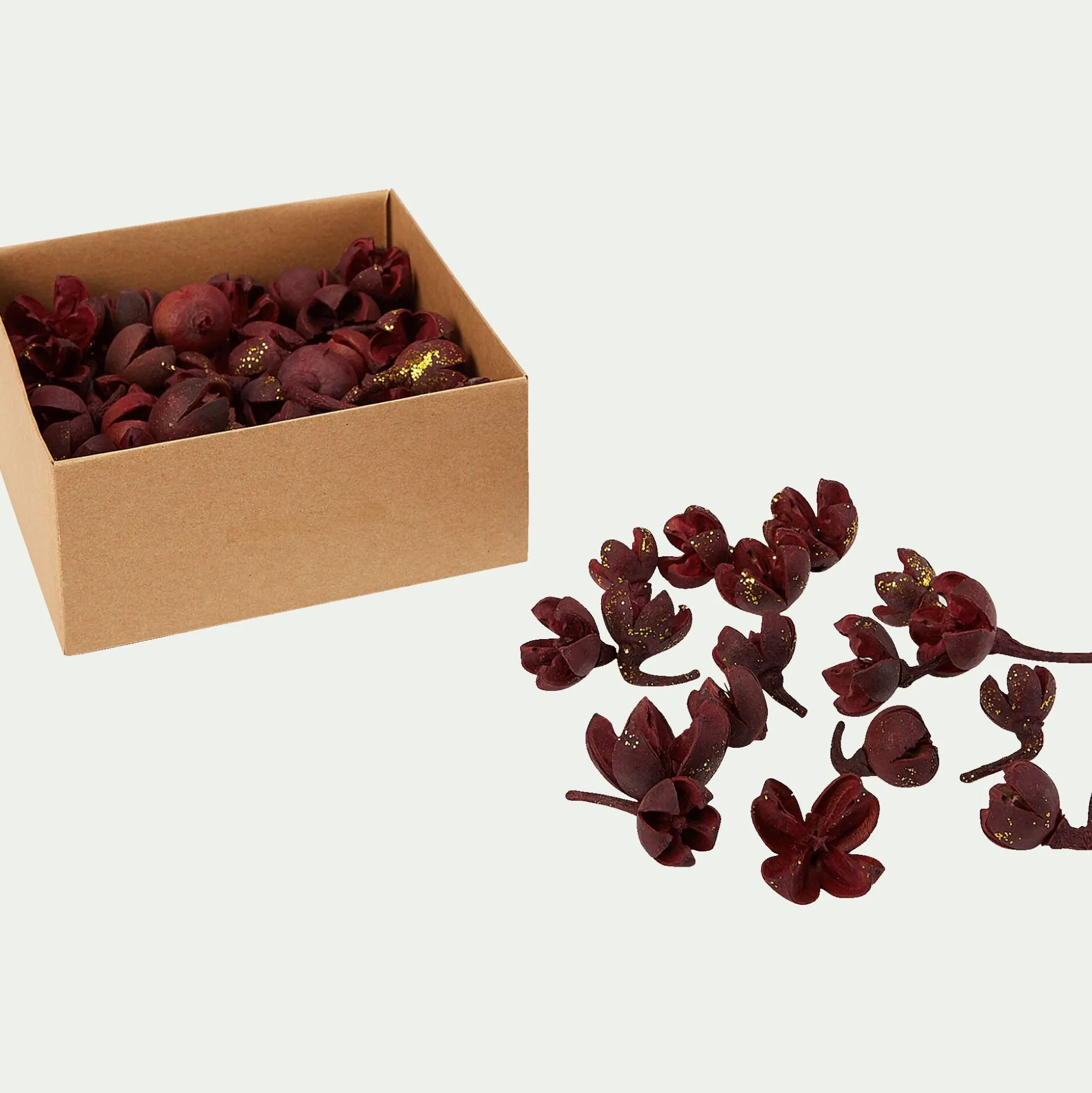 Déco végétale fruits secs - rouge