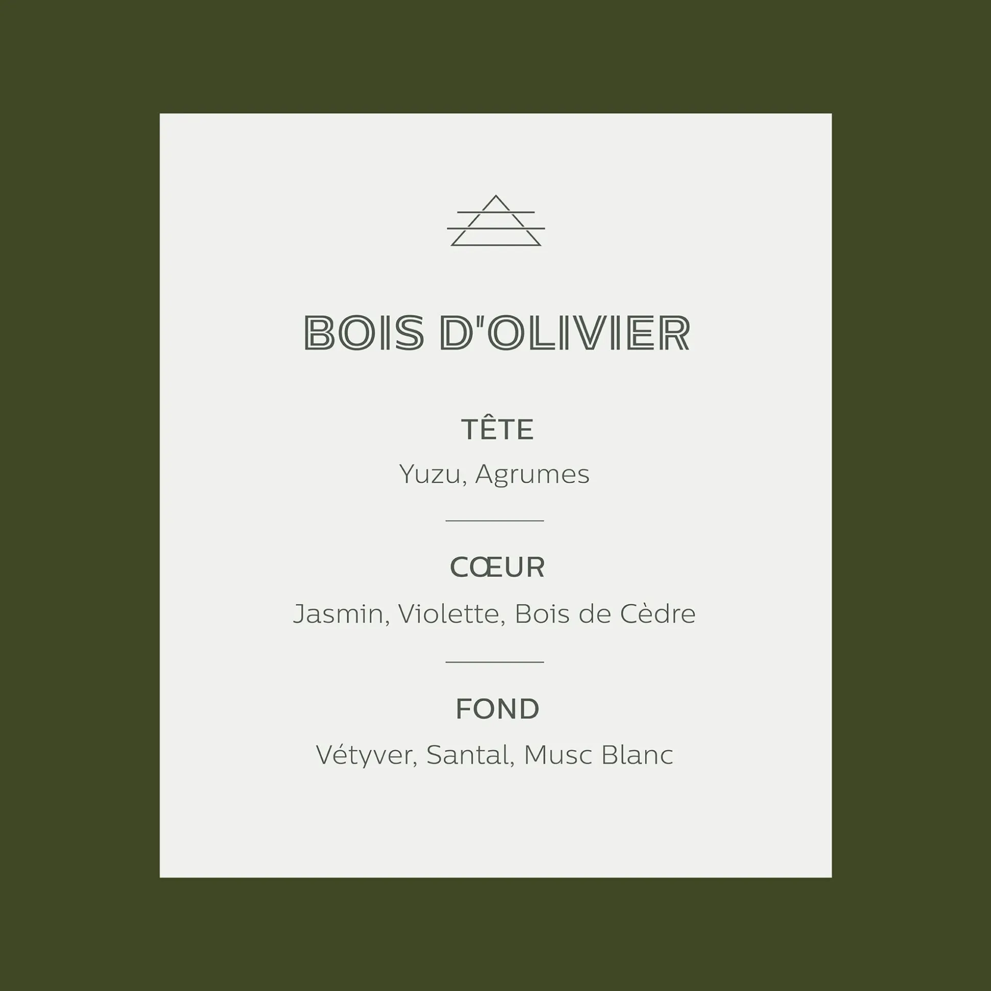 Diffuseur de parfum senteur Bois d'Olivier 100ml
