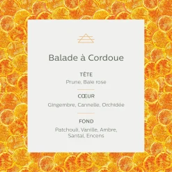 Diffuseur de parfum senteur Balade à Cordoue 150ml