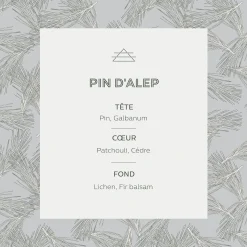 Diffuseur de parfum senteur Pin d'Alep 100ml