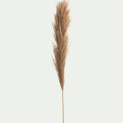 Herbe de pampa séchée - naturel H160 cm