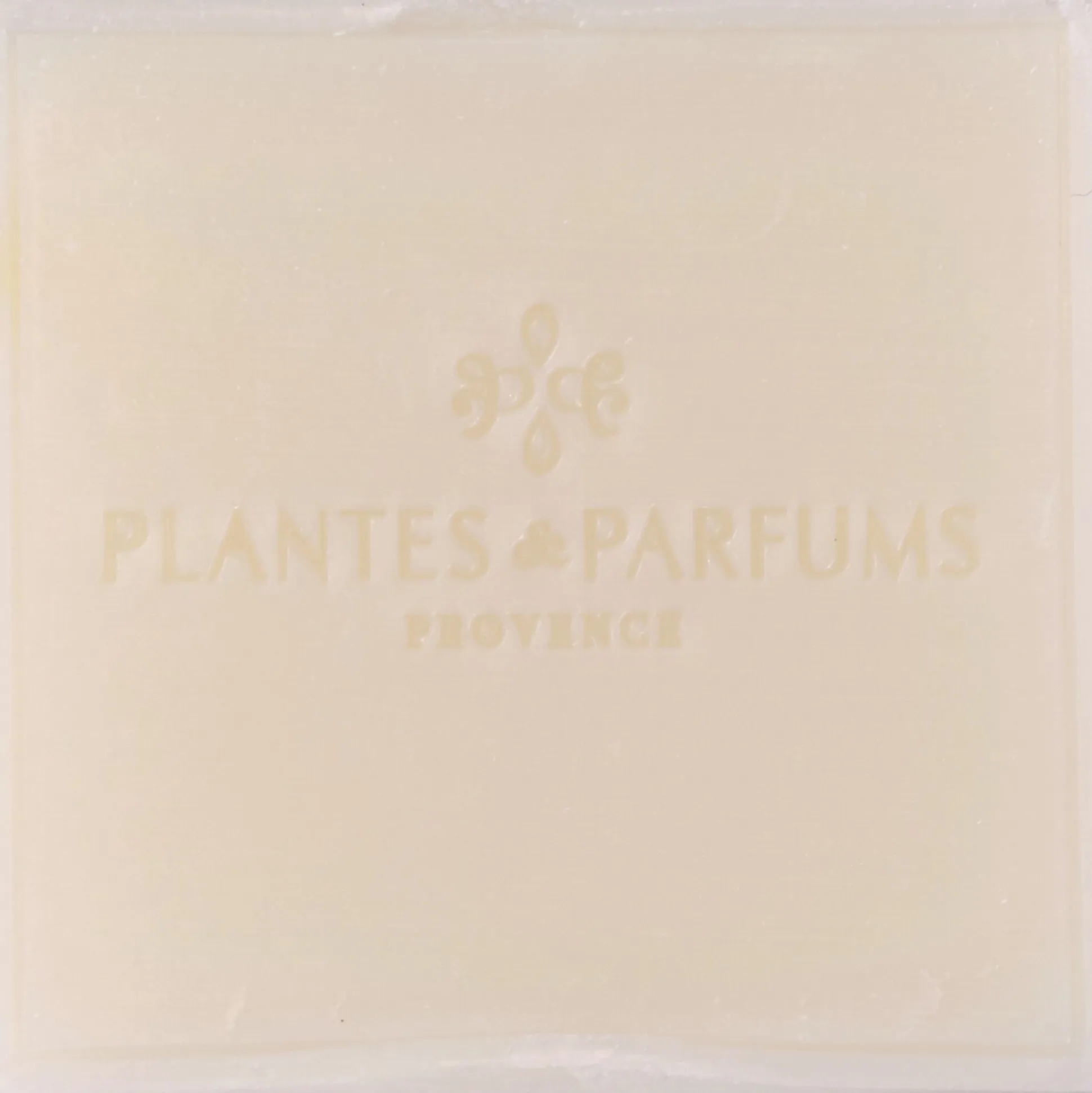 Lot de 2 savons de Marseille à l'aloe vera bio senteur bambou blanc 100g