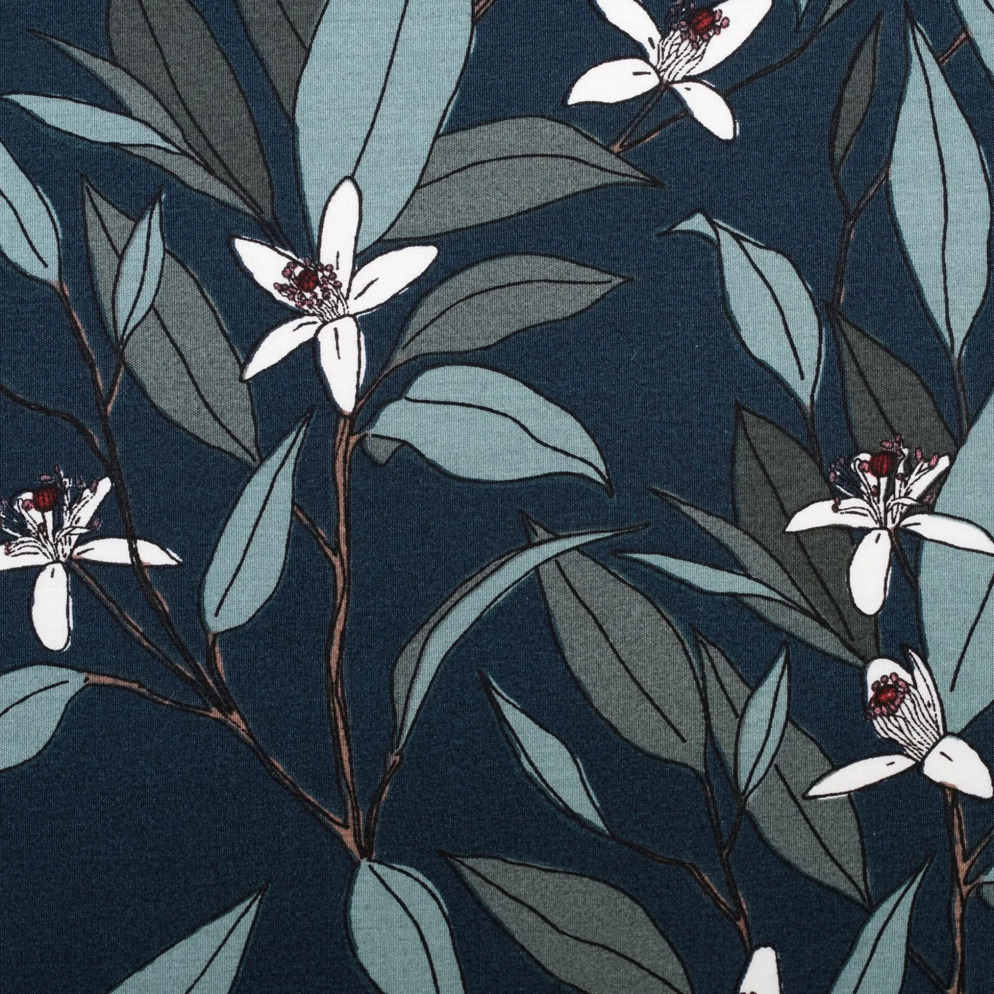 Lot de 2 taies d'oreiller fleurs d'oranger en percale de coton 63x63cm - bleu