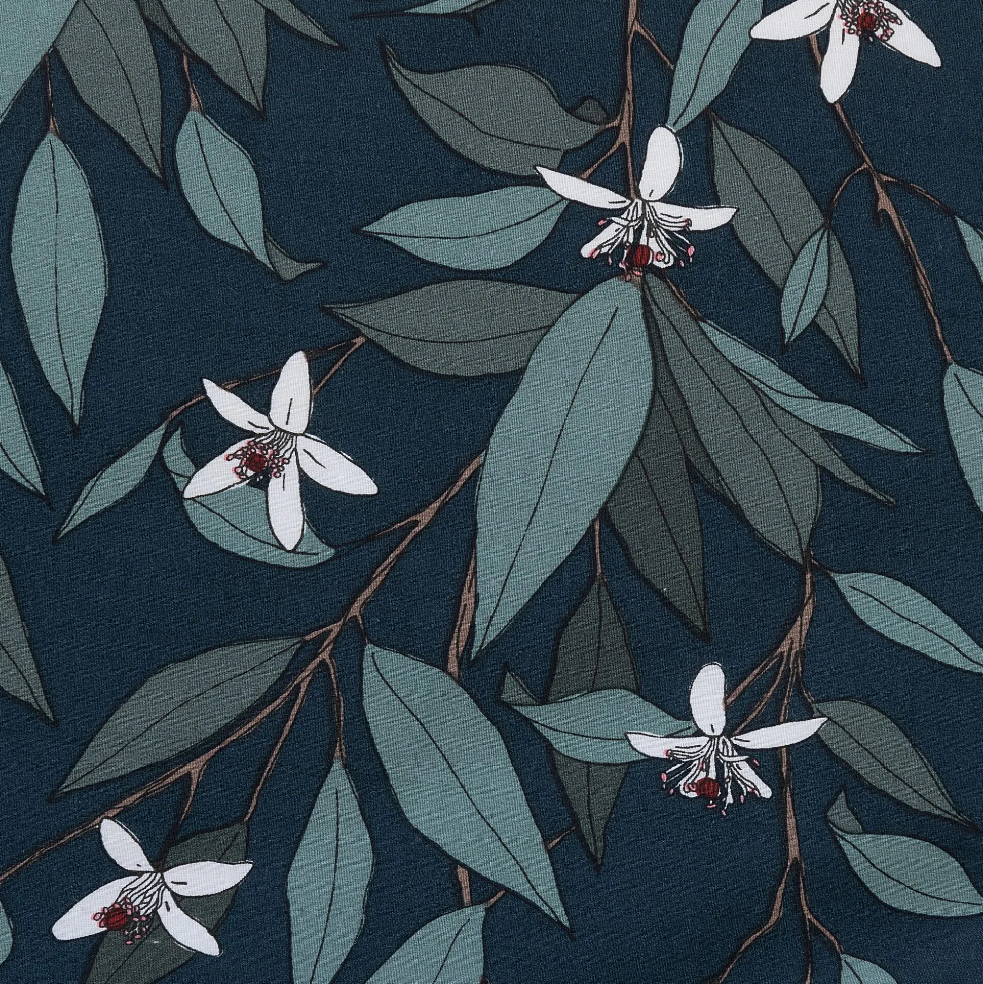 Lot de 2 taies d'oreiller fleurs d'oranger en percale de coton 50x70cm - bleu