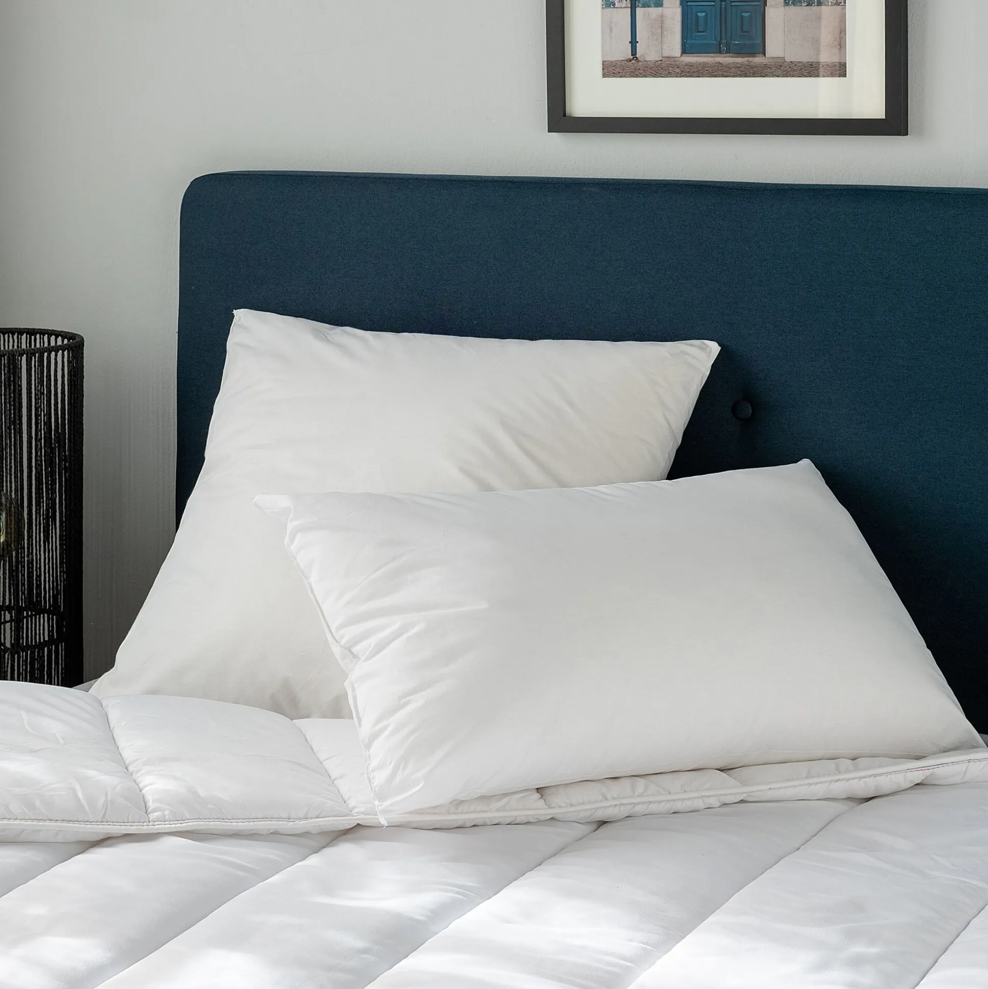 Oreiller en coton - blanc 65x65cm