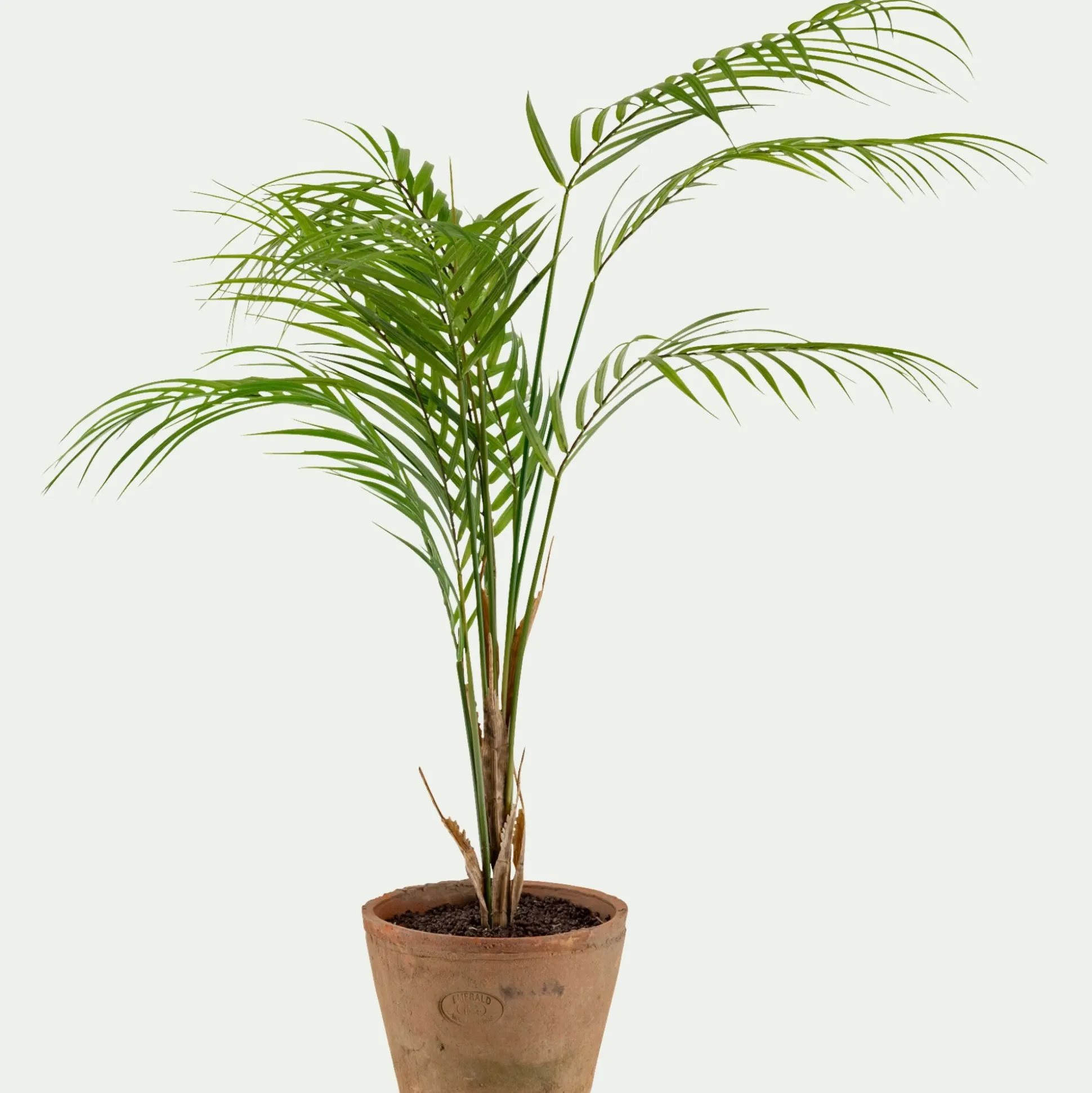 Palmier artificiel H75cm - vert