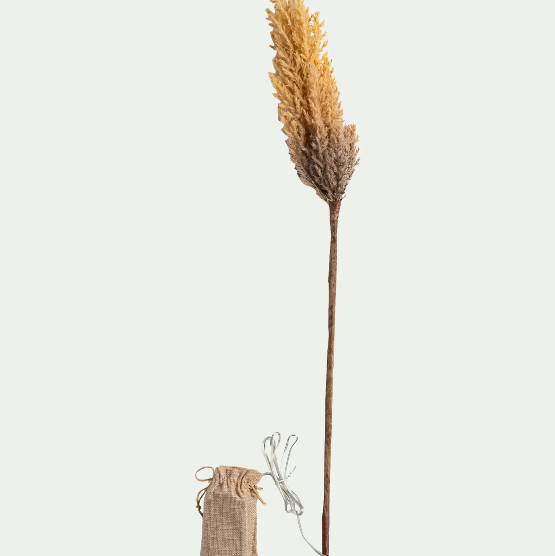Pampa LED électrique H70cm - beige (modèle aléatoire)