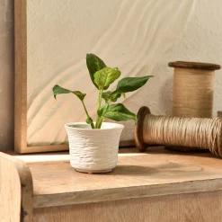 Petit vase en grès strié H7,8cm - blanc