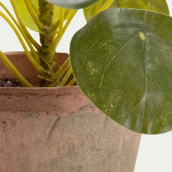 Pilea artificiel en pot H13cm - vert