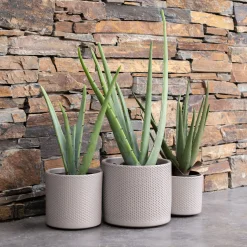 Plante artificielle aloe - vert H52cm
