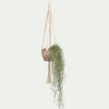 Plante tillandsia artificielle tombante avec pot suspendu H130cm - vert