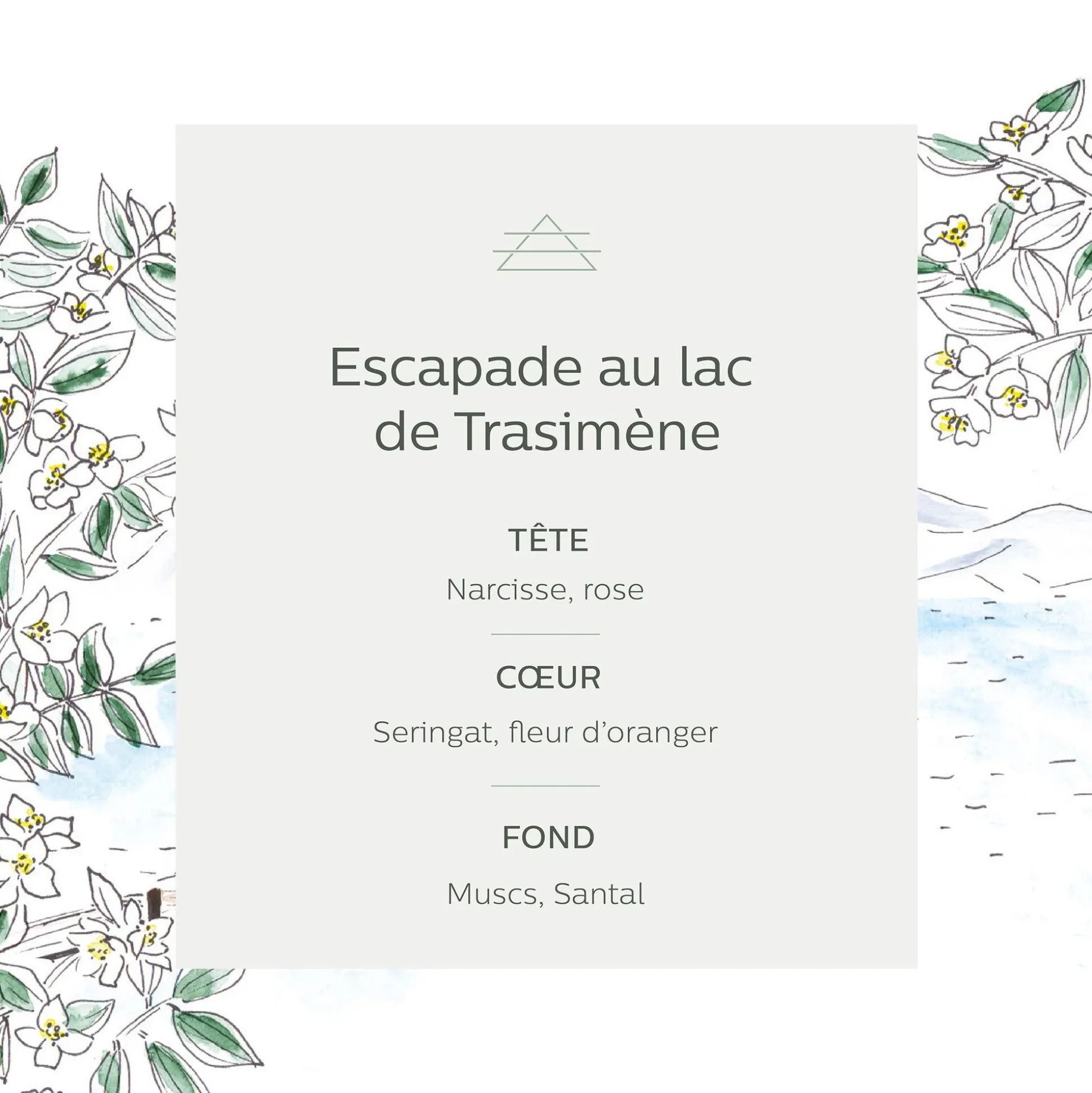Recharge pour diffuseur balade au lac de Trasimène 250ml