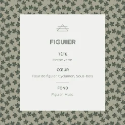 Recharge pour diffuseur Figuier 200ml