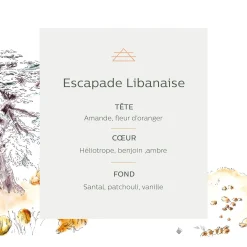 Recharge pour diffuseur senteur escapade libanaise 250ml