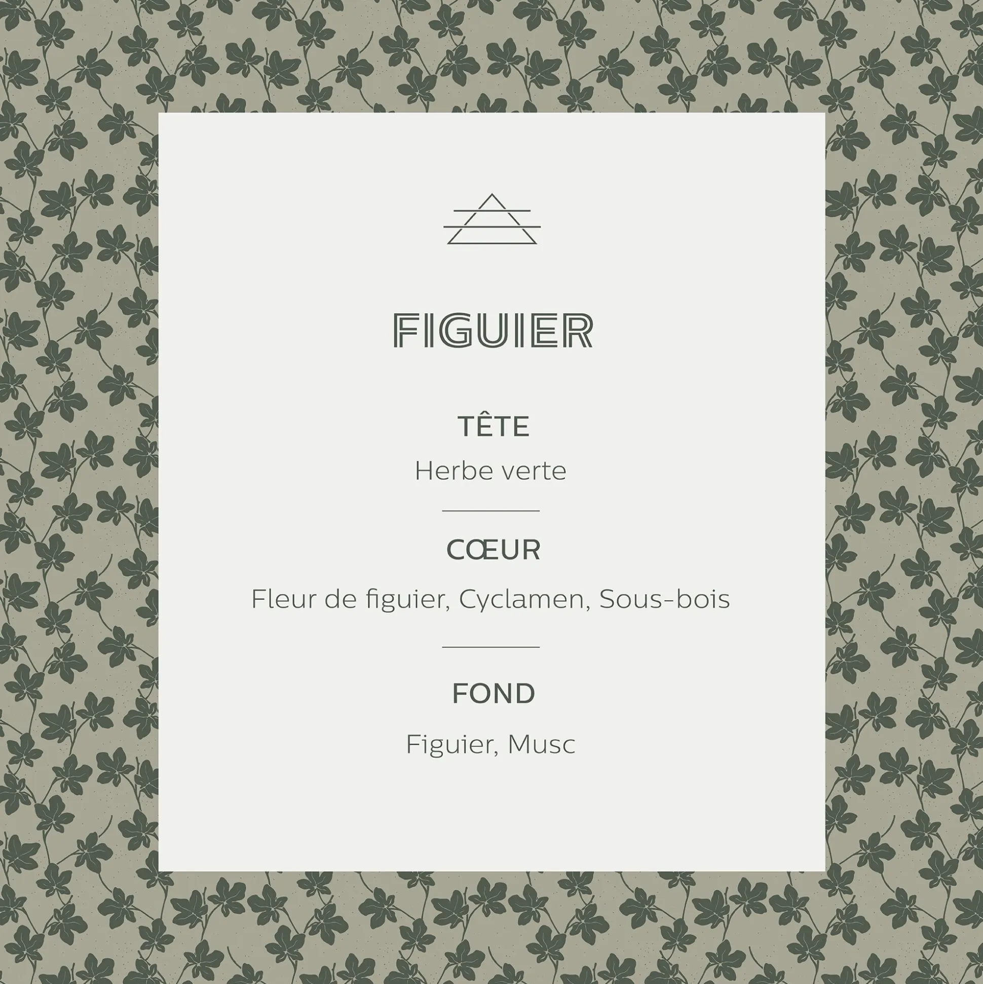 Vaporisateur senteur Figuier 100ml